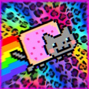 Meet your Posher, Amina